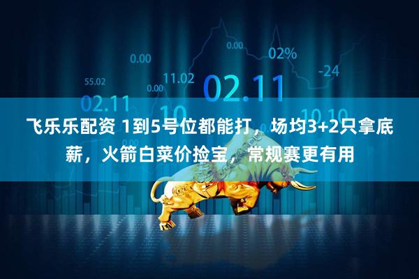 飞乐乐配资 1到5号位都能打，场均3+2只拿底薪，火箭白菜价捡宝，常规赛更有用
