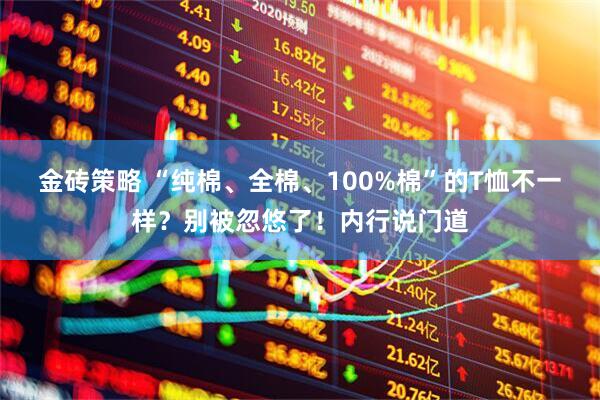 金砖策略 “纯棉、全棉、100%棉”的T恤不一样？别被忽悠了！内行说门道